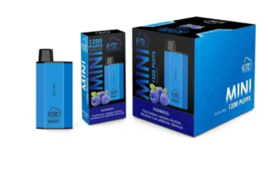 FUME MINI - Blue Razz [1200 Puffs] 10pcs - wholesale Smoke Shop